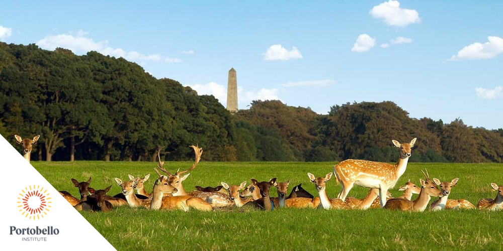 An Insight into Managing the Facilities at Phoenix Park: Ireland’s Largest National Park