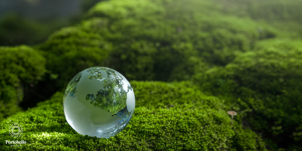 World Earth Day: Reducing Footprint in FM through Carbonisation Techniques